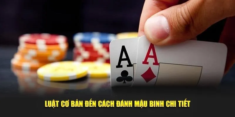 Khái niệm các quân bài trong trò chơi Mậu binh new88